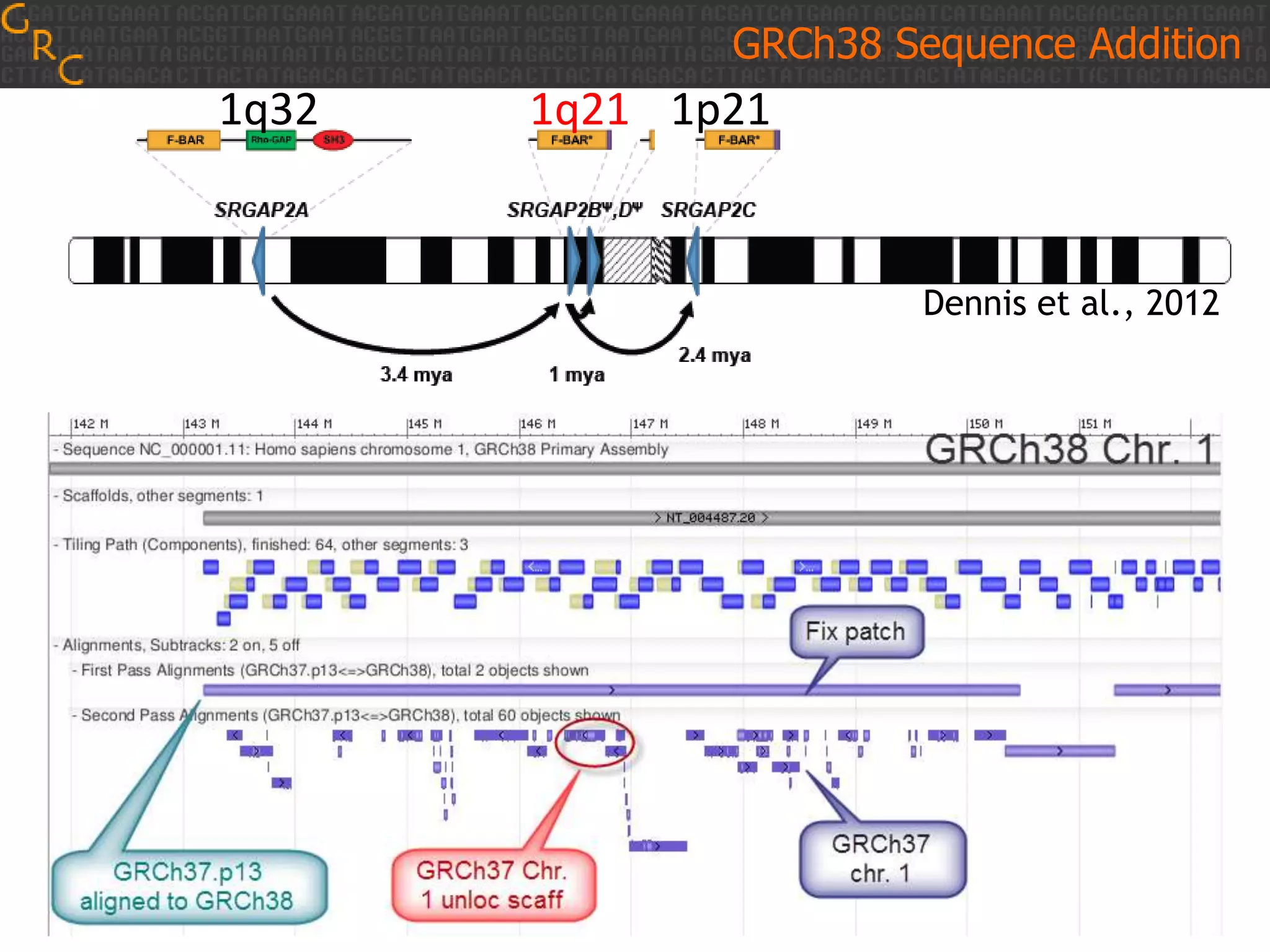 GRCh38 Sequence Addition

1q32

1q21 1p21

Dennis et al., 2012

 