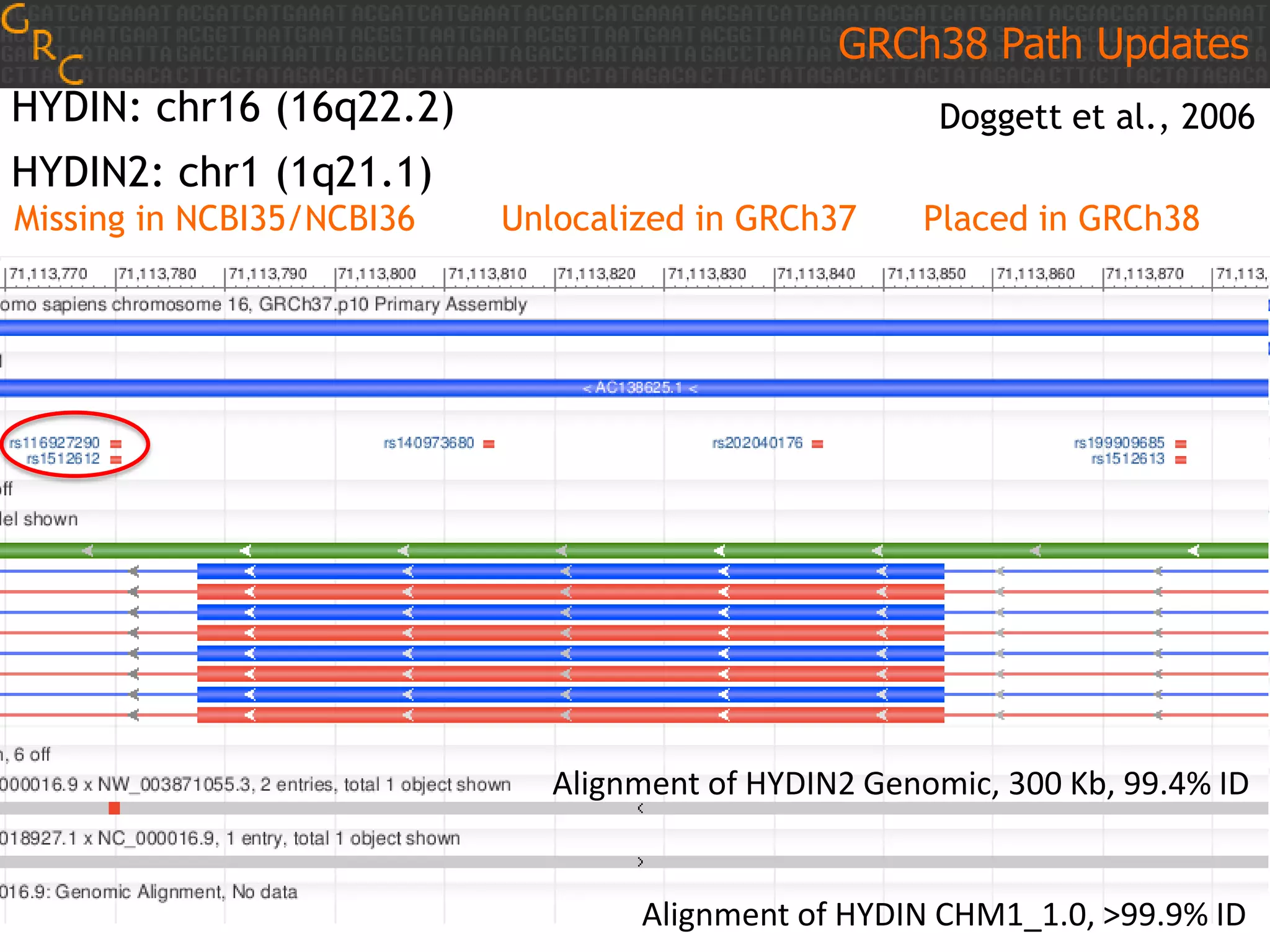 GRCh38 Path Updates
HYDIN: chr16 (16q22.2)

Doggett et al., 2006

HYDIN2: chr1 (1q21.1)
Missing in NCBI35/NCBI36

Unlocalized in GRCh37

Placed in GRCh38

Alignment of HYDIN2 Genomic, 300 Kb, 99.4% ID

Alignment of HYDIN2 Genomic, 300 Kb, 99.4% ID
Alignment of HYDIN CHM1_1.0, >99.9% ID

Alignment of HYDIN CHM1_1.0, >99.9% ID

 