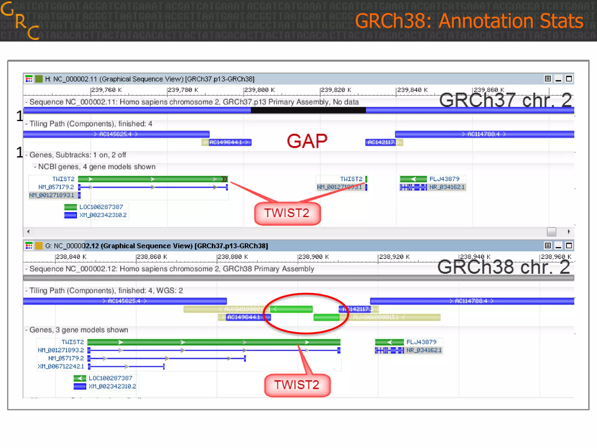 GRCh38: Annotation Stats

 