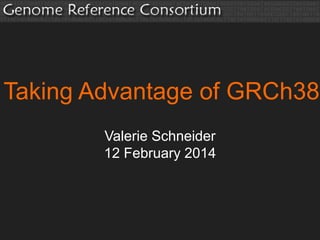Taking Advantage of GRCh38
Valerie Schneider
12 February 2014

 