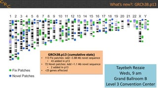 GRCh38.p13 (cumulative stats)
• 113 Fix patches: Add >3.88 Mb novel sequence
• 43 added in p13
• 72 Novel patches: Add >1.1 Mb novel sequence
• 2 added in p13
• >25 genes affected
What’s new?: GRCh38.p13
Tayebeh Rezaie
Weds, 9 am
Grand Ballroom B
Level 3 Convention Center
 