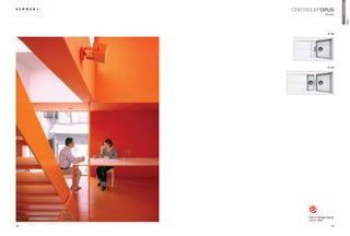 PremiumLine
     CristAdUr® opUs
                Modern




                                       opUs
                 d-100




                 d-150




38                  39
 