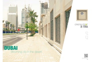®


                                 X-TRA

                                                R-125




                                                N-100




DUBAI
  Blooming city in the desert.
                                  www.schock.de/xtra

                                                155
 