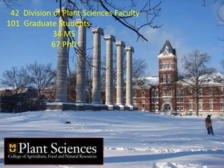 Intracellular highways in the plants:  the role of the cytoskeleton in camv infections