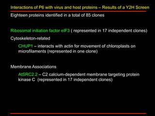 Intracellular highways in the plants:  the role of the cytoskeleton in camv infections
