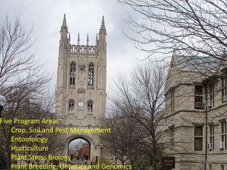 Intracellular highways in the plants:  the role of the cytoskeleton in camv infections