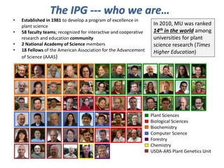 Intracellular highways in the plants:  the role of the cytoskeleton in camv infections