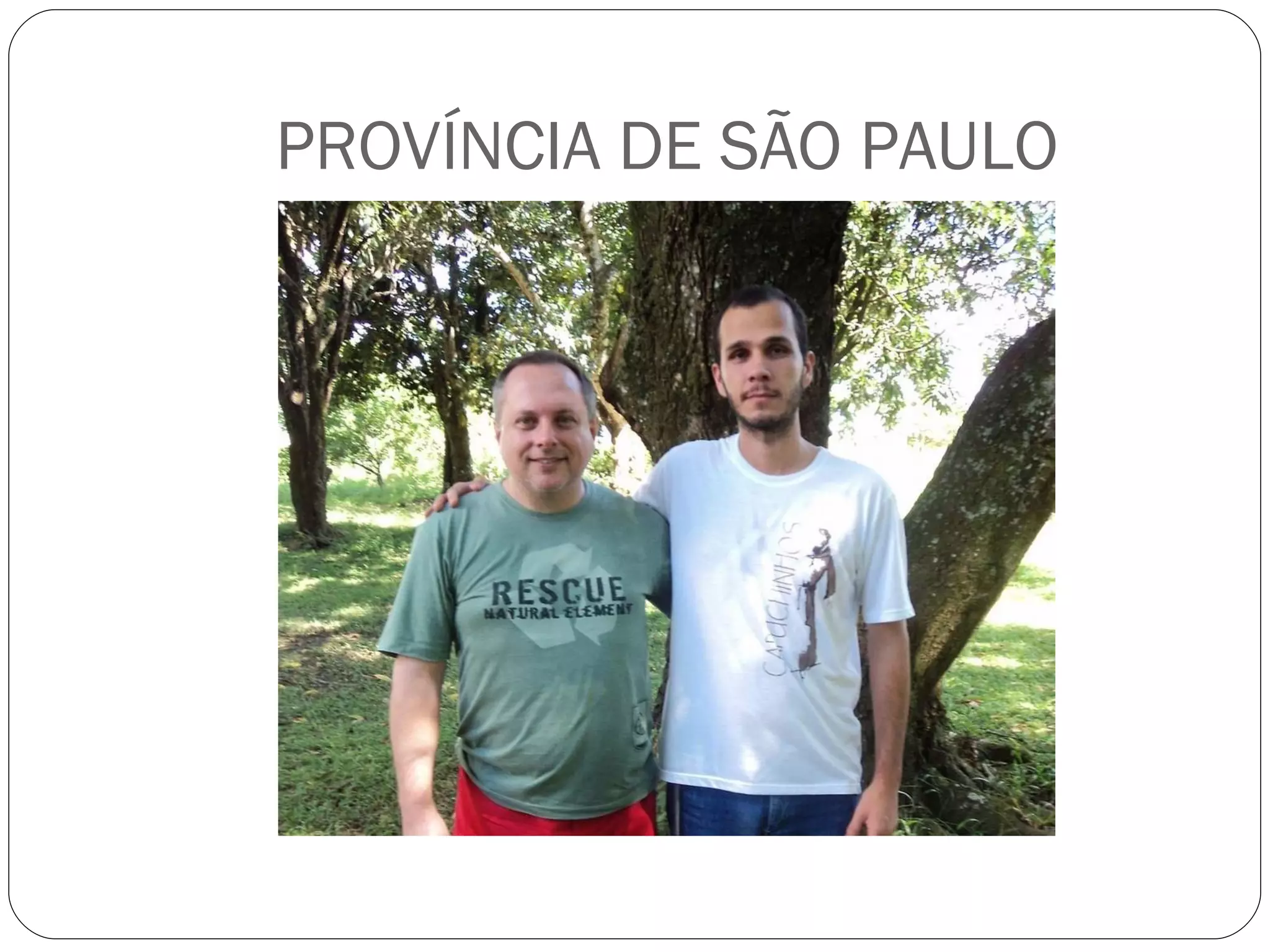 PROVÍNCIA DE SÃO PAULO