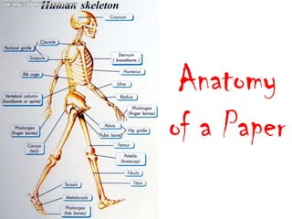 Anatomy
of a Paper
 