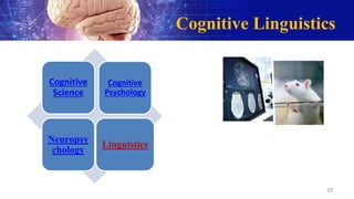 Cognitive Linguistics
Cognitive
Science
Cognitive
Psychology
Neuropsy
chology
Linguistics
10
 