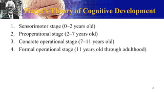 Piaget’s Theory of Cognitive Development
1. Sensorimotor stage (0–2 years old)
2. Preoperational stage (2–7 years old)
3. Concrete operational stage (7–11 years old)
4. Formal operational stage (11 years old through adulthood)
11
 