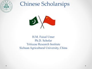 H.M. Faisal Umer
Ph.D. Scholar
Triticeae Research Institute
Sichuan Agricultural University, China
Chinese Scholarsips
 