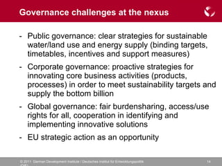 Governance challenges at the nexus Public governance: clear strategies for sustainable water/land use and energy supply (binding targets, timetables, incentives and support measures) Corporate governance: proactive strategies for innovating core business activities (products, processes) in order to meet sustainability targets and supply the bottom billion Global governance: fair burdensharing, access/use rights for all, cooperation in identifying and implementing innovative solutions EU strategic action as an opportunity  