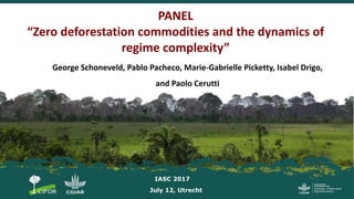 PANEL
“Zero deforestation commodities and the dynamics of
regime complexity”
George Schoneveld, Pablo Pacheco, Marie-Gabrielle Picketty, Isabel Drigo,
and Paolo Cerutti
IASC 2017
July 12, Utrecht
 