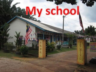 School