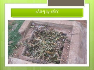 cÂ®ªj Ïiy¡ fêÎfŸ 
 