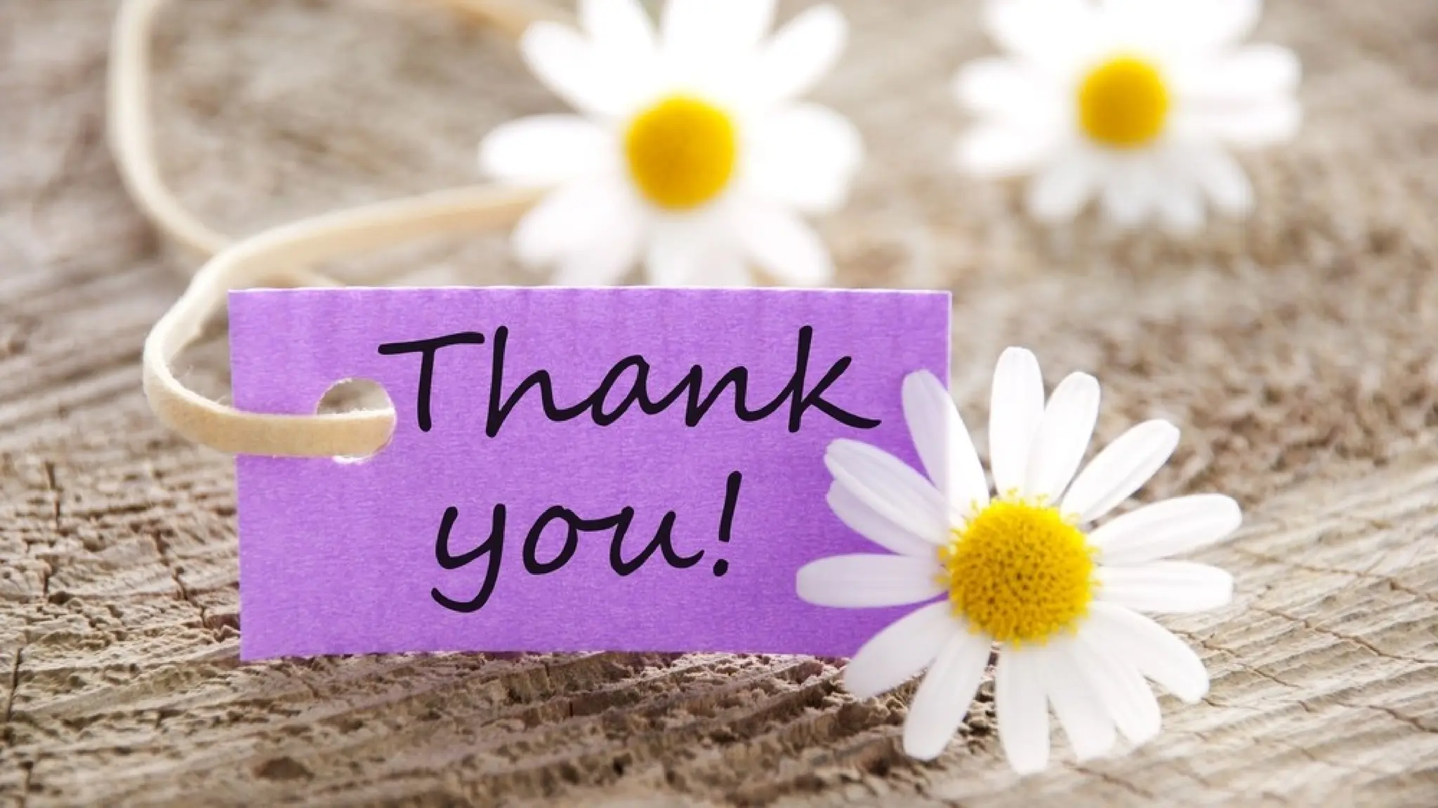 career objective for school students ppt