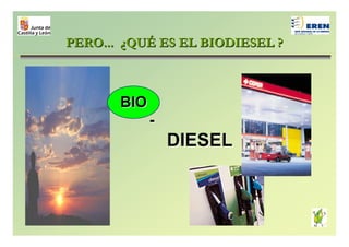 School Biodiesel
