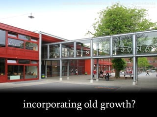 incorporating old growth? School: Paschalisschool, The Hague, Netherlands Image: DesignShare.com 
