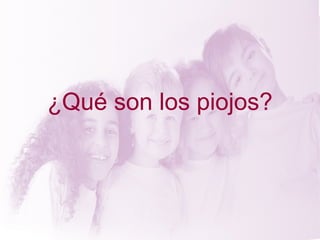 ¿Qué son los piojos?
 