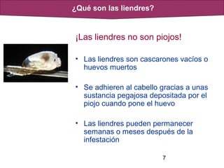 7
¡Las liendres no son piojos!
• Las liendres son cascarones vacíos o
huevos muertos
• Se adhieren al cabello gracias a unas
sustancia pegajosa depositada por el
piojo cuando pone el huevo
• Las liendres pueden permanecer
semanas o meses después de la
infestación
¿Qué son las liendres?
 