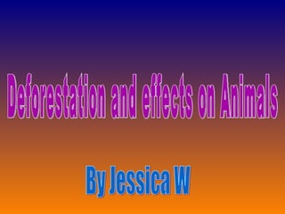Deforestation and effects on Animals By Jessica W 