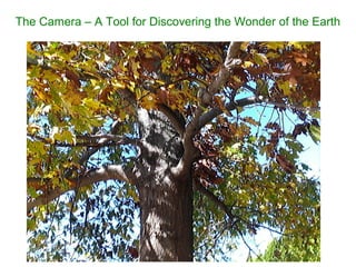 The Camera C A Tool for Discovering the Wonder of the Earth
 