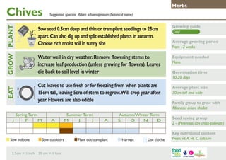 Chives

Growing guide

Water well in dry weather. Remove flowering stems to
increase leaf production (unless growing for flowers). Leaves
die back to soil level in winter

GROW PLANT
	

Suggested species: Allium schoenoprasum (botanical name)

Sow seed 0.5cm deep and thin or transplant seedlings to 25cm
apart. Can also dig up and split established plants in autumn.
Choose rich moist soil in sunny site

Equipment needed
None

Cut leaves to use fresh or for freezing from when plants are
15cm tall, leaving 5cm of stem to regrow. Will crop year after
year. Flowers are also edible

EAT
J

Herbs

Spring Term
F
M

Sow indoors	

A

Summer Term
M
J
J

Sow outdoors	

2.5cm = 1 inch 30 cm = 1 foot

A

Plant out/transplant	

Autumn/Winter Term
S
O
N
D

Harvest	

Use cloche

Easy!

Average growing period
From 12 weeks

Germination time
10-20 days
Average plant size
30cm tall and wide
Family group to grow with
Alliaceae: onion, shallot
Seed saving group
2 - (Perennial, can cross-pollinate)
Key nutritional content
Fresh: vit. A, vit. C, calcium

 