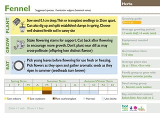 Fennel

Growing guide

Stake flowering stems for support. Cut back after flowering
to encourage more growth. Don’t plant near dill as may
cross-pollinate (offspring lose distinct flavour)

GROW PLANT
	

Suggested species: Foeniculum vulgare (botanical name)

Sow seed 0.1cm deep.Thin or transplant seedlings to 25cm apart.
Can also dig up and split established clumps in spring. Choose
well drained fertile soil in sunny site

Equipment needed
Stakes

Pick young leaves before flowering for use fresh or freezing.
Pick flowers as they open and gather aromatic seeds as they
ripen in summer (seedheads turn brown)

EAT
J

Herbs

Spring Term
F
M

Sow indoors	

A

Summer Term
M
J
J

Sow outdoors	

2.5cm = 1 inch 30 cm = 1 foot

A

Plant out/transplant	

Autumn/Winter Term
S
O
N
D

Harvest	

Use cloche

Give it a go…

Average growing period
12 weeks (leaf); 16 weeks (seed)

Germination time
7-10 days
Average plant size
Up to 150cm, 45cm wide
Family group to grow with
Apiaceae: coriander, parsley
Seed saving group
4 - Biennial, needs isolation
Key nutritional content
Boiled: folate. Raw bulb: vit. C

 