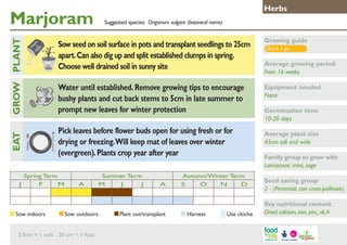 Herbs

Marjoram

	

Growing guide

Water until established. Remove growing tips to encourage
bushy plants and cut back stems to 5cm in late summer to
prompt new leaves for winter protection

GROW PLANT

Sow seed on soil surface in pots and transplant seedlings to 25cm
apart. Can also dig up and split established clumps in spring.
Choose well drained soil in sunny site

Equipment needed
None

Pick leaves before flower buds open for using fresh or for
drying or freezing. Will keep mat of leaves over winter
(evergreen). Plants crop year after year

EAT
J

Suggested species: Origanum vulgare (botanical name)

Spring Term
F
M

Sow indoors	

A

Summer Term
M
J
J

Sow outdoors	

2.5cm = 1 inch 30 cm = 1 foot

A

Plant out/transplant	

Autumn/Winter Term
S
O
N
D

Harvest	

Use cloche

Give it a go…

Average growing period
From 16 weeks

Germination time
10-20 days
Average plant size
45cm tall and wide
Family group to grow with
Lamiaceae: mint, sage
Seed saving group
2 - (Perennial, can cross-pollinate)
Key nutritional content
Dried: calcium, iron, zinc, vit. A

 
