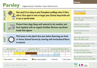Parsley

Growing guide

Protect from slugs. Keep well watered in dry weather and
feed regularly with an organic fertiliser. Remove any flower
heads that appear

GROW PLANT
	

Suggested species: Petroselinum crispum (botanical name)

Sow seed 0.1cm deep in pots.Transplant seedlings when 5-10cm
tall to 15cm apart in rows or larger pots. Choose deep fertile soil
in sun or partial shade

Equipment needed
Feed, horticultural fleece

Pick leaves in the plant’s first year before flowering; use fresh
or freeze. Extend harvest by covering with horticultural fleece
in autumn

EAT
J

Herbs

Spring Term
F
M

Sow indoors	

A

Summer Term
M
J
J

Sow outdoors	

2.5cm = 1 inch 30 cm = 1 foot

A

Plant out/transplant	

Autumn/Winter Term
S
O
N
D

Harvest	

Use cloche

Give it a go…

Average growing period
From 10 weeks

Germination time
14-28 days
Average plant size
40cm tall, 30cm wide
Family group to grow with
Apiaceae: coriander, dill
Seed saving group
4 - Biennial, needs isolation
Key nutritional content
Fresh: calcium, vit. A, vit. C, iron, folate

 