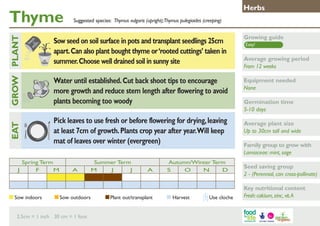 Thyme

Growing guide

Water until established. Cut back shoot tips to encourage
more growth and reduce stem length after flowering to avoid
plants becoming too woody

GROW PLANT
	

Suggested species: Thymus vulgaris (upright);Thymus pulegioides (creeping)

Sow seed on soil surface in pots and transplant seedlings 25cm
apart. Can also plant bought thyme or ‘rooted cuttings’ taken in
summer. Choose well drained soil in sunny site

Equipment needed
None

Pick leaves to use fresh or before flowering for drying, leaving
at least 7cm of growth. Plants crop year after year. Will keep
mat of leaves over winter (evergreen)

EAT
J

Herbs

Spring Term
F
M

Sow indoors	

A

Summer Term
M
J
J

Sow outdoors	

2.5cm = 1 inch 30 cm = 1 foot

A

Plant out/transplant	

Autumn/Winter Term
S
O
N
D

Harvest	

Use cloche

Easy!

Average growing period
From 12 weeks

Germination time
5-10 days
Average plant size
Up to 30cm tall and wide
Family group to grow with
Lamiaceae: mint, sage
Seed saving group
2 - (Perennial, can cross-pollinate)
Key nutritional content
Fresh: calcium, zinc, vit. A

 