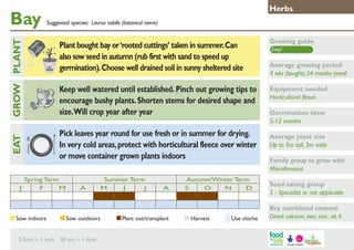 Bay

Herbs
Suggested species: Laurus nobilis (botanical name)

	

Equipment needed
Horticultural fleece

Pick leaves year round for use fresh or in summer for drying.
In very cold areas, protect with horticultural fleece over winter
or move container grown plants indoors

EAT
J

Growing guide

Keep well watered until established. Pinch out growing tips to
encourage bushy plants. Shorten stems for desired shape and
size. Will crop year after year

GROW PLANT

Plant bought bay or ‘rooted cuttings’ taken in summer. Can
also sow seed in autumn (rub first with sand to speed up
germination). Choose well drained soil in sunny sheltered site

Spring Term
F
M

Sow indoors	

A

Summer Term
M
J
J

Sow outdoors	

2.5cm = 1 inch 30 cm = 1 foot

A

Plant out/transplant	

Autumn/Winter Term
S
O
N
D

Harvest	

Use cloche

Easy!

Average growing period
4 wks (bought); 24 months (seed)

Germination time
5-12 months
Average plant size
Up to 5m tall, 3m wide
Family group to grow with
Miscellaneous
Seed saving group
5 - Specialist or not applicable
Key nutritional content
Dried: calcium, iron, zinc, vit. A

 