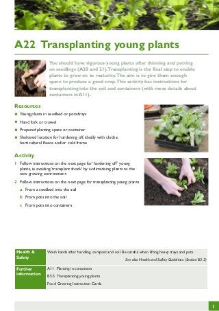 A22 Transplanting young plants
You should have vigorous young plants after thinning and potting
on seedlings (A20 and 21). Transplanting is the final step to enable
plants to grow on to maturity. The aim is to give them enough
space to produce a good crop. This activity has instructions for
transplanting into the soil and containers (with more details about
containers in A11).

Resources

•	 Young plants in seedbed or pots/trays
•	 Hand fork or trowel
•	 Prepared planting space or container
Sheltered location
off,
•	 horticultural fleecefor hardeningframeideally with cloche,
and/or cold
Activity
1	 Follow instructions on the next page for ‘hardening off’ young
plants, ie avoiding ‘transplant shock’ by acclimatising plants to the
new growing environment
2	 Follow instructions on the next page for transplanting young plants
a	 From a seedbed into the soil
b	 From pots into the soil
c	 From pots into containers

Health &
Safety

Wash hands after handling compost and soil. Be careful when lifting heavy trays and pots.

Further
information

A11 Planting in containers

See also Health and Safety Guidelines (Section B3.3)

B5.5 Transplanting young plants
Food Growing Instruction Cards

1

 