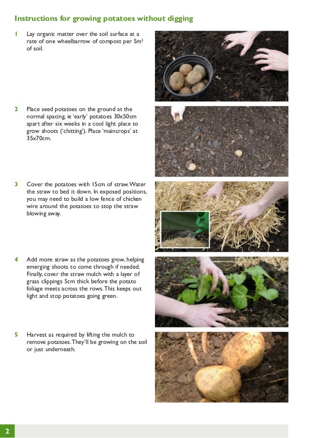 Growing Potatoes without Digging Teacher Guide, Organic Gardening