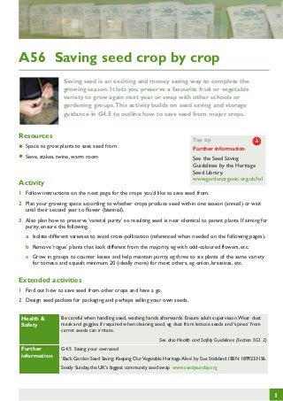 A56 Saving seed crop by crop
Saving seed is an exciting and money saving way to complete the
growing season. It lets you preserve a favourite fruit or vegetable
variety to grow again next year or swap with other schools or
gardening groups. This activity builds on seed saving and storage
guidance in G4.5 to outline how to save seed from major crops.

Resources

Top tip

•
•	 Sieve, stakes, twine, warm room

	 Space to grow plants to save seed from

Further	 information

J

See the Seed Saving
Guidelines by the Heritage
Seed Library.
www.gardenorganic.org.uk/hsl

Activity

1	 Follow instructions on the next page for the crops you’d like to save seed from.
2	 Plan your growing space according to whether crops produce seed within one season (annual) or wait
until their second year to flower (biennial).
3	 Also plan how to preserve ‘varietal purity’ so resulting seed is near identical to parent plants. If aiming for
purity, ensure the following.
a	 Isolate different varieties to avoid cross-pollination (referenced when needed on the following pages).
b	 Remove ‘rogue’ plants that look different from the majority, eg with odd-coloured flowers, etc.
c	 Grow in groups to counter losses and help maintain purity, eg three to six plants of the same variety
for tomato and squash; minimum 20 (ideally more) for most others, eg onion, brassicas, etc.

Extended activities
1	 Find out how to save seed from other crops and have a go.
2	 Design seed packets for packaging and perhaps selling your own seeds.
Health &
Safety

Be careful when handling seed, washing hands afterwards. Ensure adult supervision. Wear dust
mask and goggles if required when cleaning seed, eg dust from lettuce seeds and ‘spines’ from
carrot seeds can irritate.
See also Health and Safety Guidelines (Section SG1.2)

Further
information

G4.5 Saving your own seed
‘Back Garden Seed Saving: Keeping Our Vegetable Heritage Alive’ by Sue Stickland. ISBN 1899233156
Seedy Sunday, the UK’s biggest community seed swap www.seedysunday.org

1

 