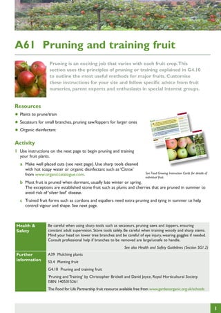 A61 Pruning and training fruit
Pruning is an exciting job that varies with each fruit crop. This
section uses the principles of pruning or training explained in G4.10
to outline the most useful methods for major fruits. Customise
these instructions for your site and follow specific advice from fruit
nurseries, parent experts and enthusiasts in special interest groups.

Resources

Fruit

57

GROW

T
PLAN

Apple

EAT

•	 Plants to prune/train
•	 Secateurs for small branches, pruning saw/loppers for larger ones
•	 Organic disinfectant

J

Activity

t future,
ties: Brigh
d varie
Suggeste

es,
James Griev

Gem
Winter

(culinary)
Bountiful
(dessert);

g guide
Growin
vest

to har
e tree on
e time
es. Choos er ‘MM106’,
Averag
months
ained tre
larg
From 18
or part-tr growing ‘M27’,
ed site
ded
le stem
arf
ny shelter
ent nee
)
Plant sing tstock’, eg dw
Equipm ch (eg compost
soil in sun
‘roo
mul
d fertile
Stakes,
suitable
(shorten
ll draine
e we
n centre
ne
to pru mer (f/work)
etc. Choos
with ope
When
sum
ework, eg
as ‘bush’
(bush);
lch.Train ) or on wire fram n side shoots)
Winter
rte
water, mu
ots
size
Stake,
side sho
stems; sho
e plant
Averag
ms and
and wide
in main
cm tall
main ste
urs’ and
alier’ (tie
200-600
and ‘esp
wood (‘sp it set,
with
to grow
fruiting
‘cordon’
fru
group
ry
ily from
ether for
Family pear, blackber
away eas
:
flower tog
Rosaceae
en breaks
es that
Pick wh
w varieti
group
d saving not applicable
tips’). Gro n group’
See
‘stem
r Term
cialist or
llinatio
n/Winte
D
5 - Spe
Autum
same ‘po
N
tent
ie
O
nal con

Term
Spring
M
F

=1
2.5cm

A

oors
Sow outd

ors
Sow indo
inch

57

r Term
Summe
J
J

M

=1
30 cm

A

Apple

nt
transpla
Plant out/

S

Harvest

he
Use cloc

Fruit

ritio
Key nut
C
Vitamin

foot

1	 Use instructions on the next page to begin pruning and training
your fruit plants.
a	 Make well placed cuts (see next page). Use sharp tools cleaned
with hot soapy water or organic disinfectant such as ‘Citrox’
from www.organiccatalogue.com.

See Food Growing Instruction Cards for details of
individual fruit.

b	 Most fruit is pruned when dormant, usually late winter or spring.
The exceptions are established stone fruit such as plums and cherries that are pruned in summer to
avoid risk of ‘silver leaf’ disease.
c	 Trained fruit forms such as cordons and espaliers need extra pruning and tying in summer to help
control vigour and shape. See next page.

Health &
Safety

Be careful when using sharp tools such as secateurs, pruning saws and loppers, ensuring
constant adult supervision. Store tools safely. Be careful when training woody and sharp stems.
Mind your head on lower tree branches and be careful of eye injury, wearing goggles if needed.
Consult professional help if branches to be removed are large/unsafe to handle.
See also Health and Safety Guidelines (Section SG1.2)

Further
information

A39 Mulching plants
S3.4 Planting fruit
G4.10 Pruning and training fruit
‘Pruning and Training’ by Christopher Brickell and David Joyce, Royal Horticultural Society.
ISBN 1405315261
The Food for Life Partnership fruit resource available free from www.gardenorganic.org.uk/schools

1

 
