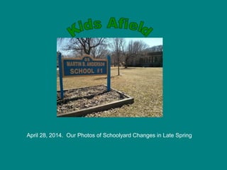April 28, 2014. Our Photos of Schoolyard Changes in Late Spring
 