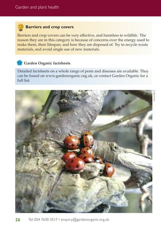 Garden and plant health

Barriers and crop covers
Barriers and crop covers can be very effective, and harmless to wildlife. The
reason they are in this category is because of concerns over the energy used to
make them, their lifespan, and how they are disposed of. Try to recycle waste
materials, and avoid single use of new materials.

FS Garden Organic factsheets

Detailed factsheets on a whole range of pests and diseases are available. They
can be found on www.gardenorganic.org.uk, or contact Garden Organic for a
full list.
J Lillywhite

26

Tel: 024 7630 3517 • enquiry@gardenorganic.org.uk

 