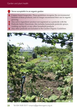 Garden and plant health

Never acceptable in an organic garden
Copper based fungicides. These guidelines recognise the environmental
hazards of these products, and no longer recommend their use in organic
growing
Any active ingredient/product not registered as a pesticide with the
Pesticide Safety Directorate; this includes homemade pesticide sprays,
washing up liquid, or any other household products
Any other pesticide not included in the Garden Organic Guidelines
J Bartlett

28

Tel: 024 7630 3517 • enquiry@gardenorganic.org.uk

 