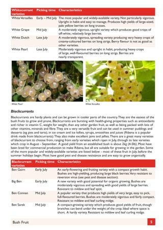 Whitecurrant
varieties
White Versailles
White Grape
White Dutch
White Pearl

Picking time Characteristics
Early – Mid July The most popular and widely-available variety. Not particularly vigorous.
Upright in habit and easy to manage. Produces high yields of large-sized,
pale yellow berries on long trusses.
Mid July
A moderately vigorous, upright variety which produces good crops of
off-white, relatively large berries.
Late July
A moderately vigorous, spreading variety producing very heavy crops of
creamy-coloured berries on long strigs. Berry flavour is not as good as
other varieties.
Late July
Moderately vigorous and upright in habit, producing heavy crops
of large, well-flavoured berries on long strigs. Berries are
nearly transparent.

White Pearl	

White Versailles

Blackcurrants
Blackcurrants are hardy plants and can be grown in cooler parts of the country. They are the easiest of the
bush fruits to grow and prune. Blackcurrants are bursting with health-giving properties such as antioxidants
and richer in vitamin C, weight for weight, than any other garden fruit, as well as being packed with lots of
other vitamins, minerals and fibre. They are a very versatile fruit and can be used in summer puddings and
desserts (eg pies and tarts), in ice cream and ice lollies, syrups, smoothies and juices (Ribena is a popular
drink made from blackcurrants). They also make excellent jams and jellies. There are a great many varieties
of blackcurrant to choose from, ranging from early varieties which ripen in July, through to late varieties
which crop in August - September. A good yield from an established bush is about 2kg (4-5lb). Most have
been bred for commercial production to make Ribena, but all are suitable for growing in the garden. Some
of the more popular and widely-available varieties are listed below - most of these fruit in July, before the
summer holidays begin. Most have good pest and disease resistance and are easy to grow organically.
Picking time Characteristics

Blackcurrant
varieties
Ben Gairn

Early July

Big Ben

Early July

Ben Connan

Mid July

Ben Sarek

Mid July

Bush Fruit

An early-flowering and fruiting variety with a compact growth habit.
Bushes are high-yielding, producing large black berries.Very resistant to
reversion virus (see pest and disease section).
A new variety with good potential for organic growing. Bushes are
moderately vigorous and spreading with good yields of large berries.
Resistant to mildew and leaf spot.
A popular variety that produces high yields of very large, easy to pick,
full-flavoured berries. Bushes are moderately vigorous and fairly compact.
Resistant to mildew and leaf curling midge.
A compact-growing variety which produces good yields of fruit, though
branches can bend under the weight of the crop. Ideal where space is
short. A hardy variety. Resistant to mildew and leaf curling midge.

5

 