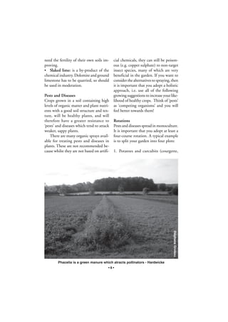 need the fertility of their own soils improving.
• Slaked lime: is a by-product of the
chemical industry. Dolomite and ground
limestone has to be quarried, so should
be used in moderation.
Pests and Diseases
Crops grown in a soil containing high
levels of organic matter and plant nutrients with a good soil structure and texture, will be healthy plants, and will
therefore have a greater resistance to
‘pests’ and diseases which tend to attack
weaker, sappy plants.
There are many organic sprays available for treating pests and diseases in
plants. These are not recommended because whilst they are not based on artifi-

cial chemicals, they can still be poisonous (e.g. copper sulphate) to non-target
insect species, many of which are very
beneficial in the garden. If you want to
consider the alternatives to spraying, then
it is important that you adopt a holistic
approach, i.e. use all of the following
growing suggestions to increase your likelihood of healthy crops. Think of ‘pests’
as ‘competing organisms’ and you will
feel better towards them!
Rotations
Pests and diseases spread in monoculture.
It is important that you adopt at least a
four-course rotation. A typical example
is to split your garden into four plots:
1. Potatoes and curcubits (courgette,

Stéphane Groleau

Phacelia is a green manure which atracts pollinators - Hardwicke
•6•

 