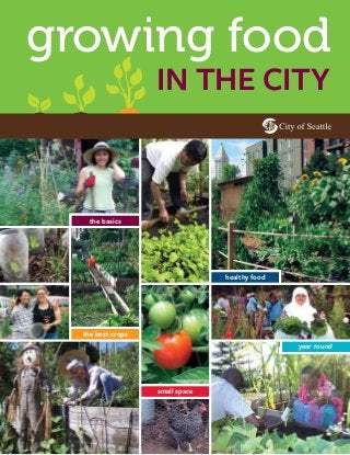 growing food
in the city

the basics

healthy food

the best crops
year round

small space

 