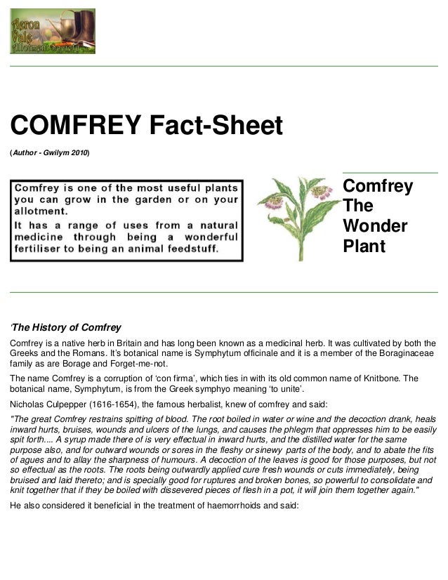 comfrey-fact-sheet-organic-gardening-united-kingdom