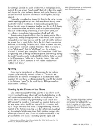 the cabbage family.) If a plant bends over, it will upright itself,
but will develop a very “tough neck” that will reduce the quality
and size of the plant and crop. Onions and garlic, however, do
better if the bulb does not have much soil weight to push up
against.
Optimally, transplanting should be done in the early evening
so the seedlings get settled into their new home during more
moderate weather conditions. If transplanting is performed
during the day some temporary shading may be needed. In our
hot, summer weather, we shade newly transplanted seedlings
with 30% shade netting or Reemay, a “row cover” cloth, for
several days to minimize transplanting shock and wilt.
Transplanting is preferable to directly sowing seeds. More
importantly, transplanting improves plant health. Beds become
compacted as they are watered and the soil will not be as loose
for a seed that is planted directly in the bed. Some compaction
will have occurred by the time it is a “child” a month later and,
in some cases, so much so after 2 months, when it is likely to
be an “adolescent,” that its “adulthood” may be seriously
affected. If, instead, you transplant the 1-month-old “child” into
the growing bed, a strong adult root system can develop during
the next 2 months, and a good adult life is likely. In fact, a study
at the University of California at Berkeley in the 1950s indicated that a 2% to 4% increase in root health can increase
yields 2 to 4 times.2

Most vegetables should be transplanted
up to their ﬁrst two true leaves.

proper

improper

Spotting
Some newly transplanted seedlings may die for various
reasons or be eaten by animals or insects. Therefore, we
usually save the surplus seedlings left in the ﬂats after transplanting. We use these seedlings during the next 10 days to ﬁll
in the holes or “spots” in the miniclimate. This process has
been named “spotting.”

result

Planting by the Phases of the Moon
One of the most controversial aspects of the GROW BIOIN method is Alan Chadwick’s method of planting seeds
and transplanting seedlings according to the phases of the
moon. Short- and extra-long–germinating seeds (which take
approximately 1 month to germinate) are planted 2 days before
the new moon, when signiﬁcant magnetic forces occur, and
up to 7 days after the new moon. Long-germinating seeds are
planted at the full moon and up to 7 days afterward. Seedlings
are transplanted at the same time. Both planting periods take
advantage of the full sum of the forces of nature—which are
greatest at the new moon—including gravity, light, and
TENSIVE

Tip
When the stems of cucumbers, melons,
squash, pumpkin, and gourds grow
into the path, turn the stems back into
the bed’s growing area to keep walkways clear. The stems prefer the more
humid miniclimate in the growing area
and will stay there.

2. Charles Morrow Wilson, Roots: Miracles Below—The Web of Life Beneath Our Feet
(Garden City, NY: Doubleday, 1968), p. 105.

SEED PROPAGATION

71

 