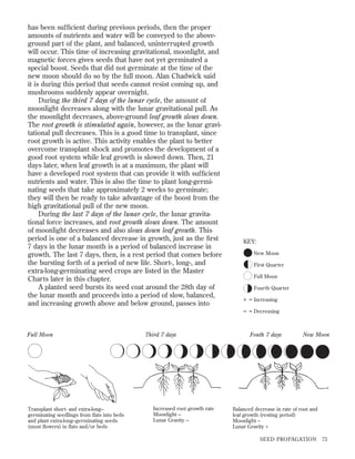 has been sufﬁcient during previous periods, then the proper
amounts of nutrients and water will be conveyed to the aboveground part of the plant, and balanced, uninterrupted growth
will occur. This time of increasing gravitational, moonlight, and
magnetic forces gives seeds that have not yet germinated a
special boost. Seeds that did not germinate at the time of the
new moon should do so by the full moon. Alan Chadwick said
it is during this period that seeds cannot resist coming up, and
mushrooms suddenly appear overnight.
During the third 7 days of the lunar cycle, the amount of
moonlight decreases along with the lunar gravitational pull. As
the moonlight decreases, above-ground leaf growth slows down.
The root growth is stimulated again, however, as the lunar gravitational pull decreases. This is a good time to transplant, since
root growth is active. This activity enables the plant to better
overcome transplant shock and promotes the development of a
good root system while leaf growth is slowed down. Then, 21
days later, when leaf growth is at a maximum, the plant will
have a developed root system that can provide it with sufﬁcient
nutrients and water. This is also the time to plant long-germinating seeds that take approximately 2 weeks to germinate;
they will then be ready to take advantage of the boost from the
high gravitational pull of the new moon.
During the last 7 days of the lunar cycle, the lunar gravitational force increases, and root growth slows down. The amount
of moonlight decreases and also slows down leaf growth. This
period is one of a balanced decrease in growth, just as the ﬁrst
7 days in the lunar month is a period of balanced increase in
growth. The last 7 days, then, is a rest period that comes before
the bursting forth of a period of new life. Short-, long-, and
extra-long-germinating seed crops are listed in the Master
Charts later in this chapter.
A planted seed bursts its seed coat around the 28th day of
the lunar month and proceeds into a period of slow, balanced,
and increasing growth above and below ground, passes into

KEY:
New Moon
First Quarter
Full Moon
Fourth Quarter

+ = Increasing
– = Decreasing

Full Moon

Transplant short- and extra-long–
germinating seedlings from ﬂats into beds
and plant extra-long–germinating seeds
(most ﬂowers) in ﬂats and/or beds

Third 7 days

Increased root growth rate
Moonlight –
Lunar Gravity –

Fouth 7 days

New Moon

Balanced decrease in rate of root and
leaf growth (resting period)
Moonlight –
Lunar Gravity +
SEED PROPAGATION

73

 