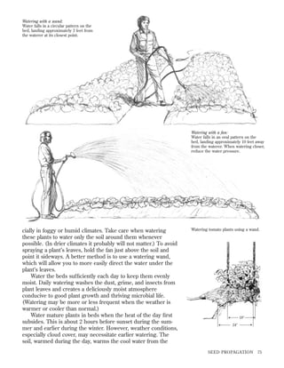 Watering with a wand:
Water falls in a circular pattern on the
bed, landing approximately 3 feet from
the waterer at its closest point.

Watering with a fan:
Water falls in an oval pattern on the
bed, landing approximately 10 feet away
from the waterer. When watering closer,
reduce the water pressure.

Watering tomato plants using a wand.

→
→

cially in foggy or humid climates. Take care when watering
these plants to water only the soil around them whenever
possible. (In drier climates it probably will not matter.) To avoid
spraying a plant’s leaves, hold the fan just above the soil and
point it sideways. A better method is to use a watering wand,
which will allow you to more easily direct the water under the
plant’s leaves.
Water the beds sufﬁciently each day to keep them evenly
moist. Daily watering washes the dust, grime, and insects from
plant leaves and creates a deliciously moist atmosphere
conducive to good plant growth and thriving microbial life.
(Watering may be more or less frequent when the weather is
warmer or cooler than normal.)
Water mature plants in beds when the heat of the day ﬁrst
subsides. This is about 2 hours before sunset during the summer and earlier during the winter. However, weather conditions,
especially cloud cover, may necessitate earlier watering. The
soil, warmed during the day, warms the cool water from the

24Љ

18Љ

→
→

SEED PROPAGATION

75

 