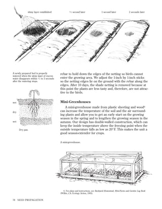 shiny layer established

A newly prepared bed is properly
watered when the shiny layer of excess
water disappears within 1 ⁄ 2 to 3 seconds
after the watering stops.

1⁄ 2

second later

1 second later

2 seconds later

rebar to hold down the edges of the netting so birds cannot
enter the growing area. We adjust the 1-inch by 1-inch sticks
so the netting edges lie on the ground with the rebar along the
edges. After 10 days, the shade netting is removed because at
this point the plants are less tasty and, therefore, are not attractive to the birds.

Mini-Greenhouses

wet

dry

wet
Dry pan.

A mini-greenhouse made from plastic sheeting and wood6
can increase the temperature of the soil and the air surrounding plants and allow you to get an early start on the growing
season in the spring and to lengthen the growing season in the
autumn. Our design has double-walled construction, which can
keep the inside temperature above the freezing point when the
outside temperature falls as low as 20°F. This makes the unit a
good season-extender for crops.
A mini-greenhouse.

6. For plans and instructions, see Backyard Homestead, Mini-Farm and Garden Log Book
(Willits, CA: Ecology Action, 1993).

78

SEED PROPAGATION

 
