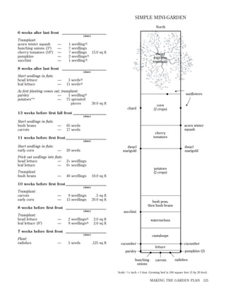 SIMPLE MINI-GARDEN
North

6 weeks after last frost ________________________
(date)

Transplant:
acorn winter squash
bunching onions (3Љ)
cherry tomatoes (18Љ)
pumpkins
zucchini

—
—
—
—
—

T
1 seedling ⅜
7 seedlings
7 seedlings 15.0 sq ft
T
2 seedlings ⅜
T
1 seedling ⅜

dwarf
fruit tree
(optional)

8 weeks after last frost ________________________
(date)

Start seedlings in ﬂats:
head lettuce
leaf lettuce

—
—

S
3 seeds ⅜
S
11 seeds ⅜

As ﬁrst planting comes out, transplant:
T
parsley
—
1 seedling⅜
potatoes**
— 75 sprouted
pieces

sunflowers

30.0 sq ft

corn
(2 crops)

chard

13 weeks before ﬁrst fall frost __________________
(date)

Start seedlings in ﬂats:
bush beans
carrots

—
—

65 seeds
17 seeds

acorn winter
squash
cherry
tomatoes

11 weeks before ﬁrst frost ______________________
(date)

Start seedlings in ﬂats:
early corn

—

dwarf
marigold

dwarf
marigold

20 seeds

Prick out seedlings into ﬂats:
head lettuce
—
leaf lettuce
—

2+ seedlings
9+ seedlings

Transplant:
bush beans

46 seedlings

—

potatoes
(2 crops)

10.0 sq ft

10 weeks before ﬁrst frost ______________________
(date)

Transplant:
carrots
early corn

—
—

9 seedlings
15 seedlings

.5 sq ft
20.0 sq ft

bush peas,
then bush beans

8 weeks before ﬁrst frost ______________________
(date)

Transplant:
head lettuce
leaf lettuce (8Љ)

—
—

S
2 seedlings⅜
S
9 seedlings⅜

zucchini

2.0 sq ft
2.0 sq ft

watermelons

7 weeks before ﬁrst frost ______________________
(date)

Plant:
radishes

—

5 seeds

cantaloupe

.125 sq ft

cucumber

lettuce

pumpkins (2)

parsley
bunching
onions

cucumber

carrots

radishes

Scale: 5 ⁄ 16 inch = 1 foot. Growing bed is 100 square feet (5 by 20 feet).

MAKING THE GARDEN PLAN

125

 