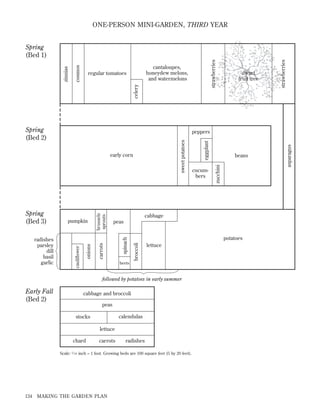 ONE-PERSON MINI-GARDEN, THIRD YEAR

cantaloupes,
honeydew melons,
and watermelons
celery

regular tomatoes

Spring
(Bed 2)

lettuce

beets

cabbage and broccoli
peas
calendulas

stocks
lettuce
chard

carrots

radishes

Scale: 5 ⁄ 16 inch = 1 foot. Growing beds are 100 square feet (5 by 20 feet).

134

MAKING THE GARDEN PLAN

asparagus

zucchini
potatoes

broccoli

spinach

brussels
sprouts

cabbage

followed by potatoes in early summer

Early Fall
(Bed 2)

cucumbers

beans

peas

carrots

onions

cauliflower

radishes
parsley
dill
basil
garlic

pumpkin

eggplant

sweet potatoes

peppers

early corn

Spring
(Bed 3)

dwarf
fruit tree

strawberries

strawberries

cosmos

zinnias

Spring
(Bed 1)

 